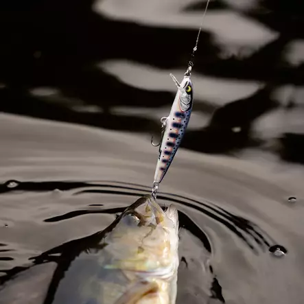 Heittouistin rapala floater elite 8,5 cm gilded yamame - Lohiuistimet ja taimenuistimet - 022677348513 - 2