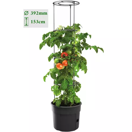 tomaattiruukku tukikehikolla tomatopot prosperplast - Kasvihuoneet ja viljelylaatikot - 5905197289113 - 2