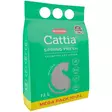 Paakkuuntuva kissanhiekka cattia spring fresh 12l - Kissan terveydenhoito ja hygienia - 5700551260803 - 1