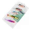 Jigilajitelma Jasu Suvas 6cm 5kpl - Jigipää pilkit - 6430075937583 - 2