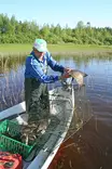 vihreä katiska 1m - Katiskat ja katiskatarvikkeet - 6418252939513 - 4