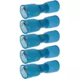 kutistelattaliitin naaras 6,3mm 1,5-2,5mm2 5kpl sininen - Kutistesukat ja yleistarvikkeet - 6438255200793 - 1