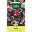 Tuoksuherne bijou annual kirkkaat tuoksuvat kukat - Siemenet - 4770168244993 - 1