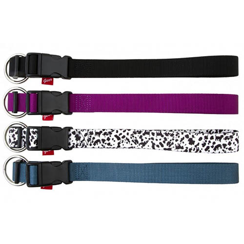 Koira kaulapanta - Pannat, valjaat ja taluttimet - 5700551141003 - 1