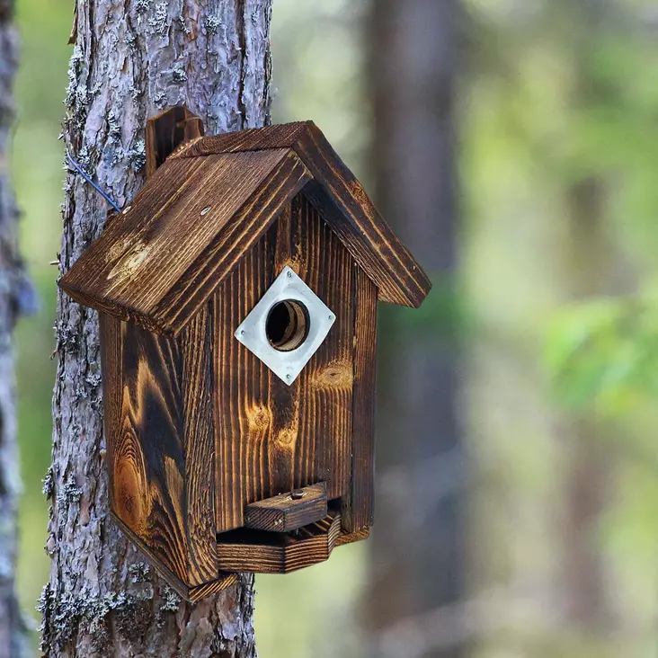 linnunpönttö 28mm lentoaukolla - Lintulaudat, pöntöt ja hyönteishotellit - 6430068431623 - 1