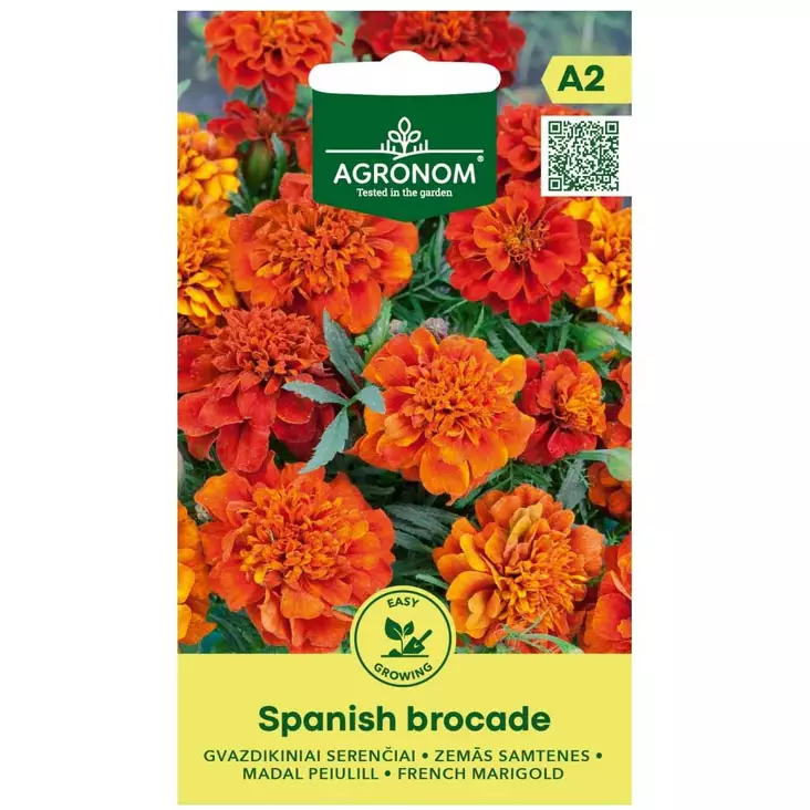 Samettikukka spanish - Siemenet - 4770168920033 - 1
