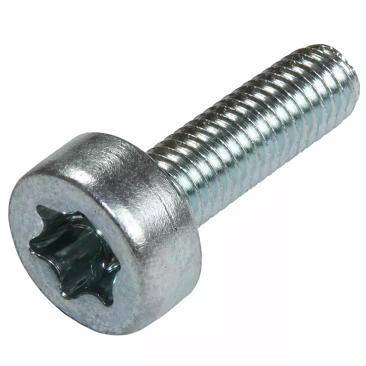 Sylinterikantaruuvi torx m4x12 stihl 90223130660 - Moottorisahan yleisosat - 795711283223 - 1