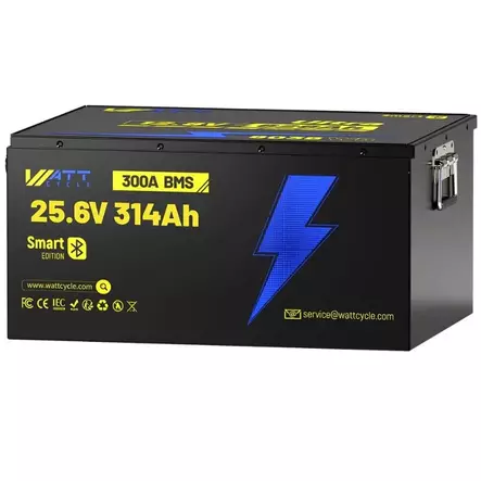 300a bms lifepo4 akku smart bluetooth - LifePO4-akut - 6438471350814 - 1