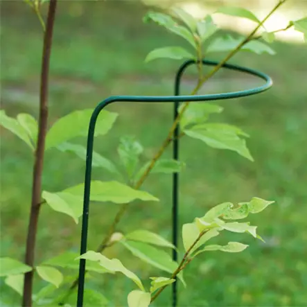 Pensaan kasvituki 100cm - Pensaskehikot ja kasvituet - 6430040621394 - 1