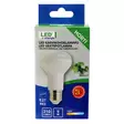 Kasvilamppu suuntaava r63 e27 9w 1300k tuotepakkaus - E27 lamput - 6418536037744 - 4