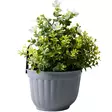 Parvekeruukku tekokukka - Tekokasvit ja tekokukat - 8721037904964 - 2