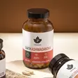 Puhdistamo earth ashwagandga stressinhallintaan ja keskittymiskykyyn - Vitamiinit ja jauheet - 6430039224674 - 2