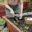 Istutuslapio puutarhaan fiskars solid - Haravat, kuokat ja rikkaruohon poisto - 6411501705754 - 2