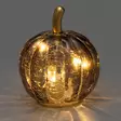 Finnlumor lasikurpitsa led valoilla harmaa 9 cm - Koriste-esineet - 6410416580364 - 4