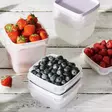 Smartstore pakasterasiat - Pakasterasiat ja pakastepussit - 6411768036134 - 2