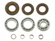 Peränlaakeri & stefasarja Bronco Yamaha Grizzly 660 -02 - Mönkijän ristinivelet, perän ja tasauspy - 6438235146684 - 2