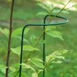Pensaan kasvituki 100cm - Pensaskehikot ja kasvituet - 6430040621394 - 1