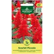 Salvia scarlet piccolo - Siemenet - 4770168271104 - 1