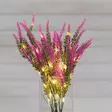 Koristekanerva led valolla - Valokoristeet - 6410416378114 - 2