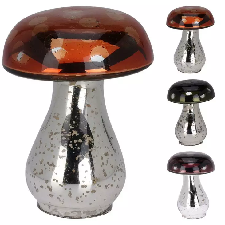 Sieni koriste - Koriste-esineet - 8721037117364 - 1