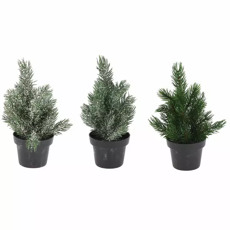 Pöytämänty ruukussa - Joulukuuset - 8721037197854 - 1