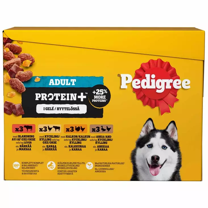Pedigree protein+ hyytelössä koiran märkäruoka lajitelma 12x85g - Koiran märkäruoka - 5900951318924 - 1