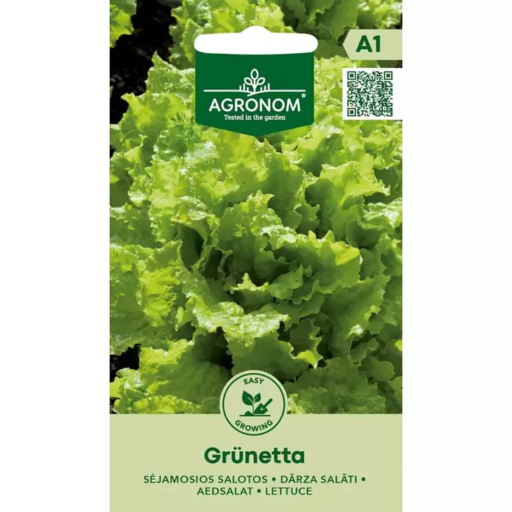 Salaatti grünetta lehtisalaatti - Siemenet - 4770168142244 - 1