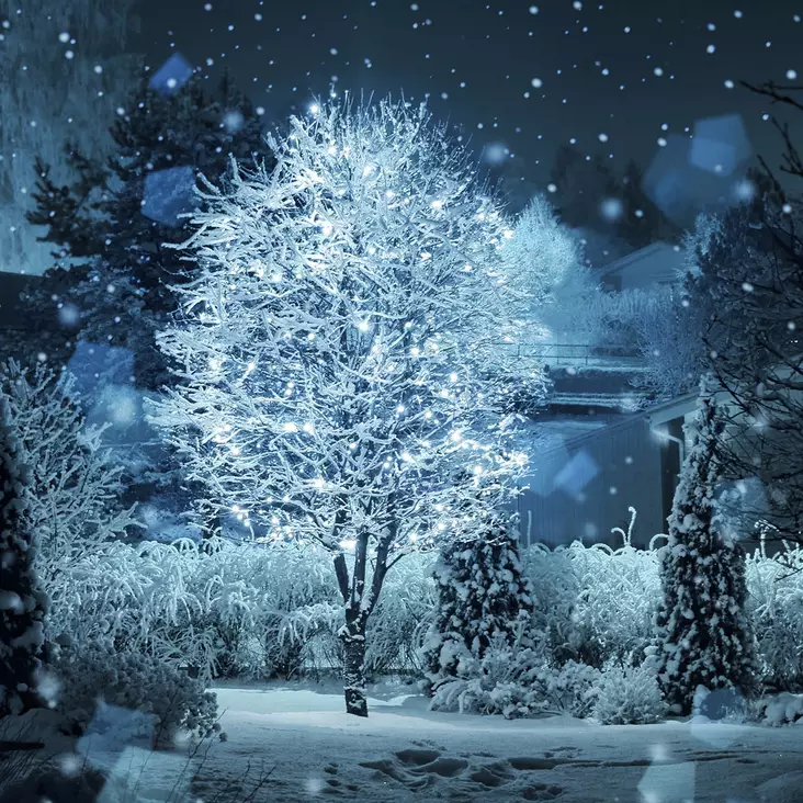 led-valoketju kirkas valkoinen 225 led finnlumor - Valoketjut ulko- ja sisäkäyttöön - 6410412846204 - 1