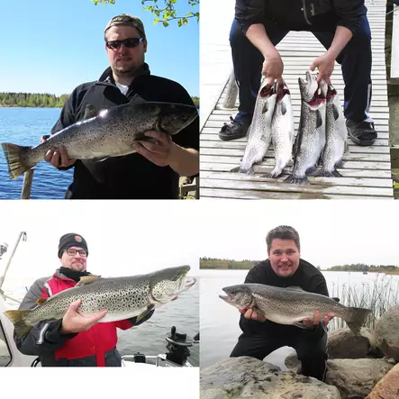 jopu vaappu kalakuvat - Vaappu-uistimet - 6438471021165 - 2