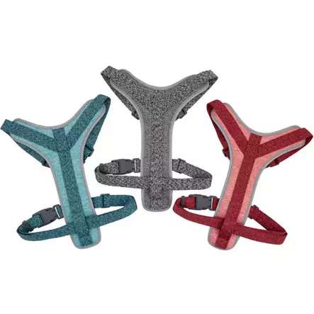 Best friend daily walker m koiran y valjas ? pehmustettu ja heijastava valjas 15?25 kg koirille - Pannat, valjaat ja taluttimet - 5700551142475 - 1