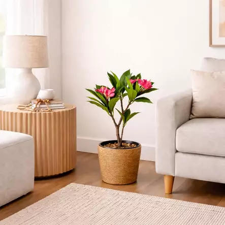 Tekokasvi frangipani 90 cm - Tekokasvit ja tekokukat - 8721037896245 - 2