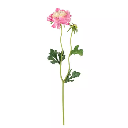 Törmäkukka liila - Koristeoksat - 6410416440125 - 1