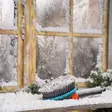 Jäätymisen kestävä pesuharja gardena - Auton pesuharjat - 4078500065115 - 6