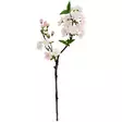 Kirsikankukan oksa, vaaleanpunainen 48 cm - Tekokasvit ja tekokukat - 6416906878225 - 1