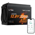 12v 320ah caravan akku - LifePO4-akut - 6438471348835 - 1