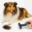 Harja pohjavillan poistoon koiralle tai muille lemmikeille  - Koiran terveydenhoito ja hygienia - 5700551130885 - 2