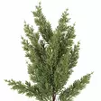 Havukoriste tekohavua koristeoksa winteria - Havukranssit ja havuköynnökset - 6410416576275 - 2