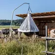 Tehokas laaja paarma ansa - Hyönteiskarkottimet ja hyönteisansat - 4018653038635 - 7