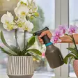 Gardena sumutinpullo sisäkasvien hoitoon - Kastelukannut ja sumutinpullot - 4078500052375 - 2
