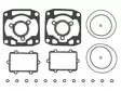 Yläpään tiivistesarja Arctic Cat 500 LC - Moottorikelkan yläpään tiivistesarjat - 6438235153255 - 2