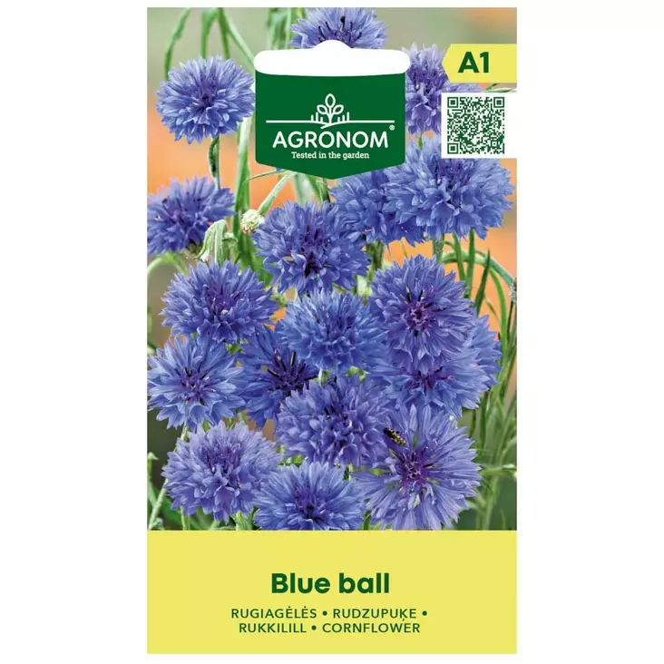 Ruiskukka blue ball - Siemenet - 4770168290075 - 1