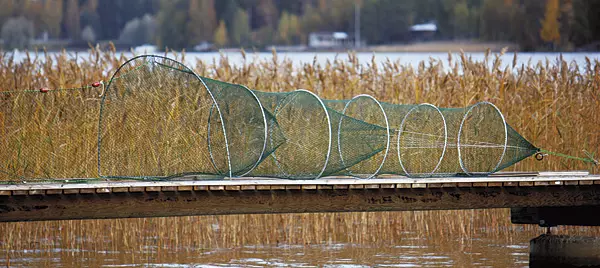 Kalarysä - Rysät ja rysätarvikkeet - 6418252907505 - 2