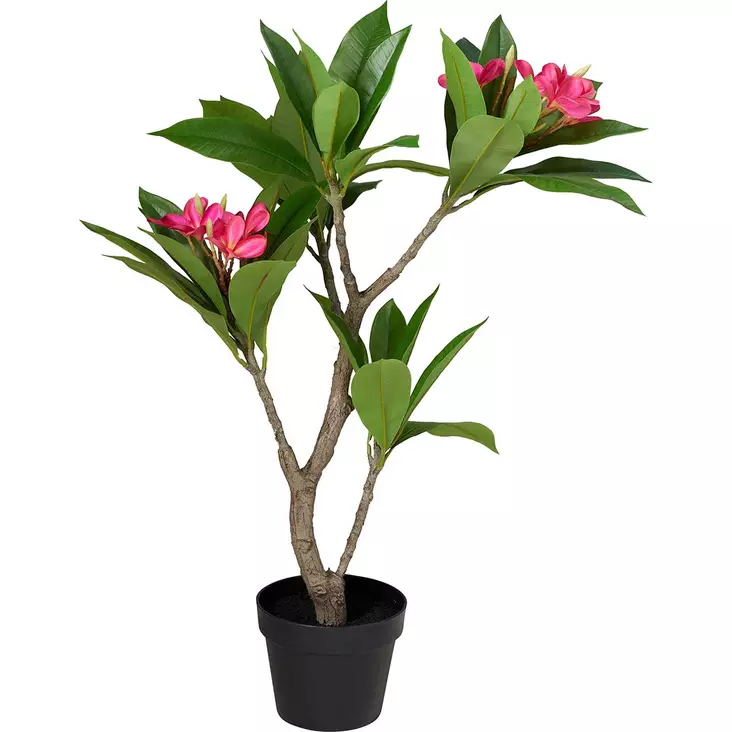 Frangipani tekokukka ruukussa - Tekokasvit ja tekokukat - 8721037896245 - 1