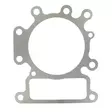B&s kannentiiviste - Ruohonleikkurin moottorin osat - 3582321848426 - 1