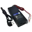 Ac dc akkulaturi lifepo akulle 20a 12v - LiFePO4-akun laturit ja DC–DC-muuntimet - 6438471353006 - 1