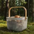 Kori sienestykseen - Marjastustarvikkeet ja mehustimet - 6410416403526 - 2