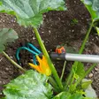 Gardena combisystem möyhennin - Haravat, kuokat ja rikkaruohon poisto - 4078500316606 - 4