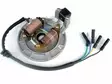 Staattori magneetto valopuolla 50cc 70cc 90cc 110cc 125cc monkey samurai kiinancrossi  - Crossin ja mopon staattorit - 6438471023756 - 4