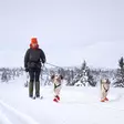 Koiran vetovyö koiran ulkoilutus - Pannat, valjaat ja taluttimet - 6418536029046 - 3