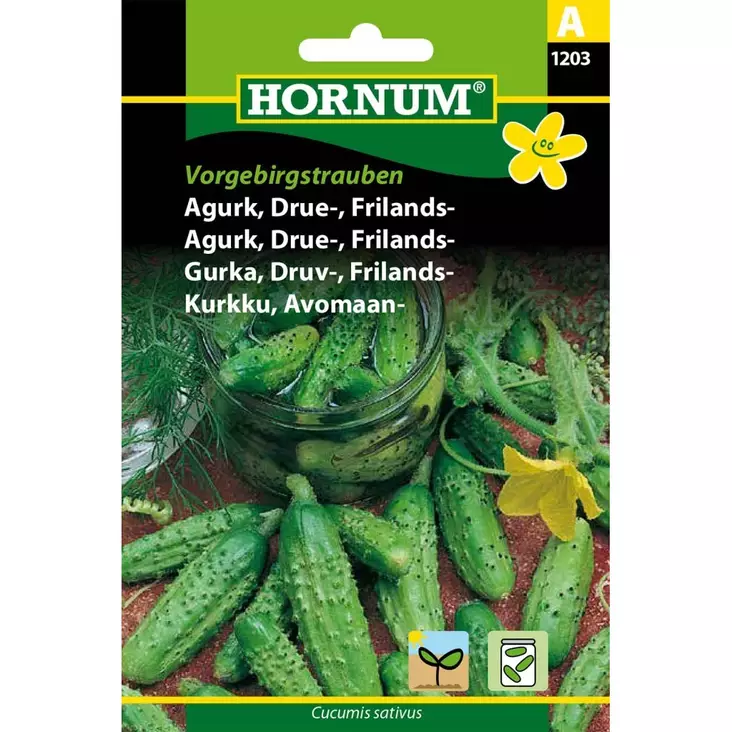 hornum avomaankurkku vorgebirgstrauben - Siemenet - 5708787012036 - 1